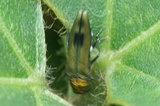 09jl13065s.jpg