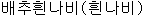 rapae.gif