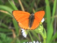 20120701disp.jpg