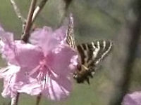 v0505101.jpg