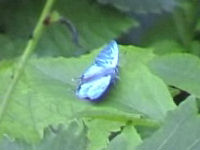 v0507220.jpg