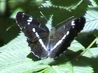 v0507220.jpg
