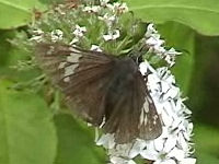 v0507236.jpg