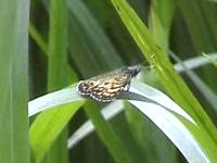 v0507303.jpg
