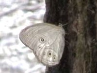 v0507401.jpg