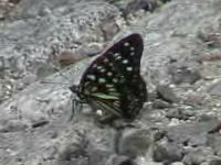 v0507402.jpg