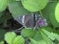 v0606201.jpg