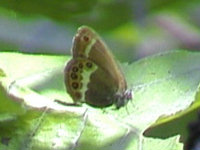 v0606205.jpg