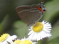 v0606208.jpg