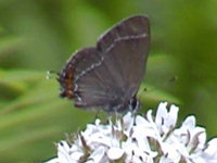 v0606304.jpg