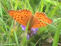 v070712.jpg